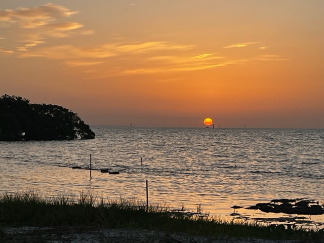 776687000003689004_zc_v10_1658428773119_img_1657