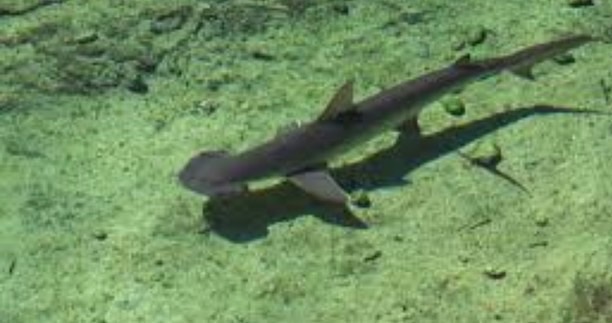 776687000003841374_zc_v7_1659643732762_7f72d3cb_bd87_4c41_ad7e_54ea8d362f55